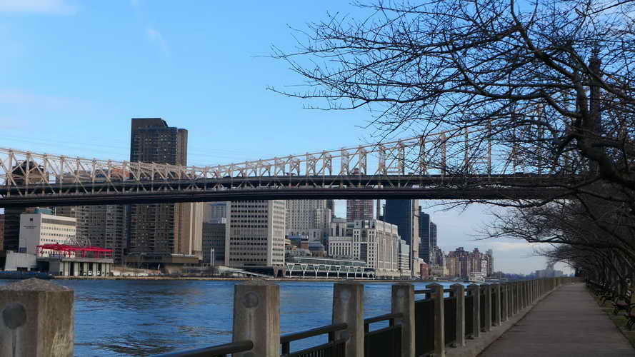 NYC_2020-01-27 08-39-56_P1070836